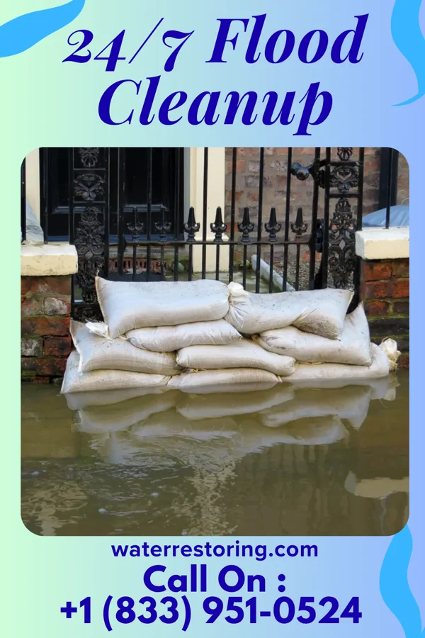 24/7 Flood Cleanup in Rantoul, IL