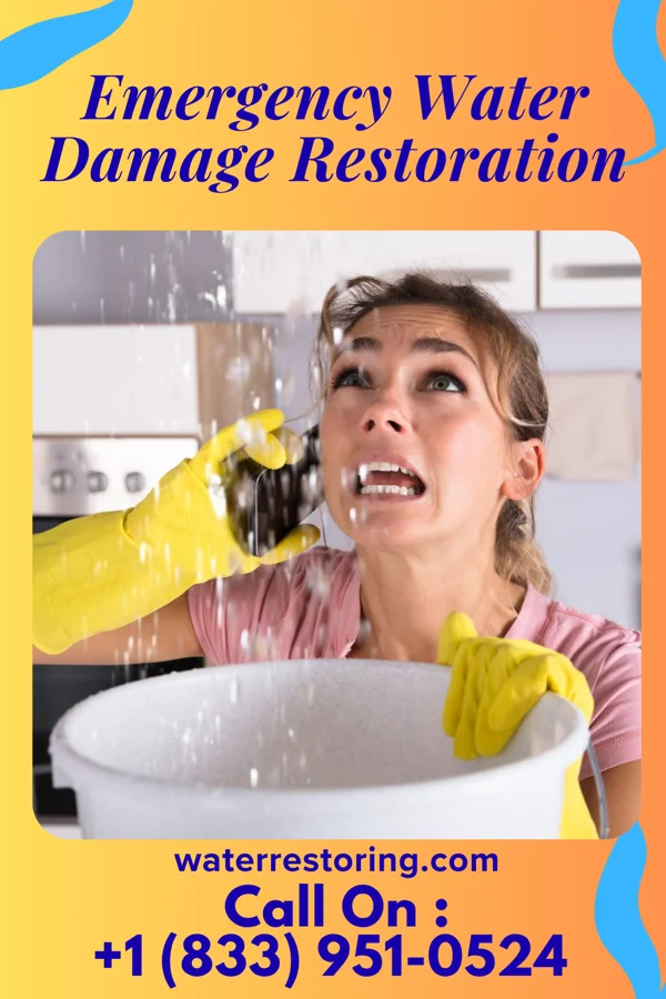 Emergency Water Damage Restoration in Rantoul, IL