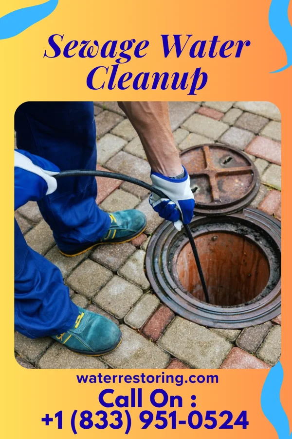 Sewage Water Cleanup in Rantoul, IL
